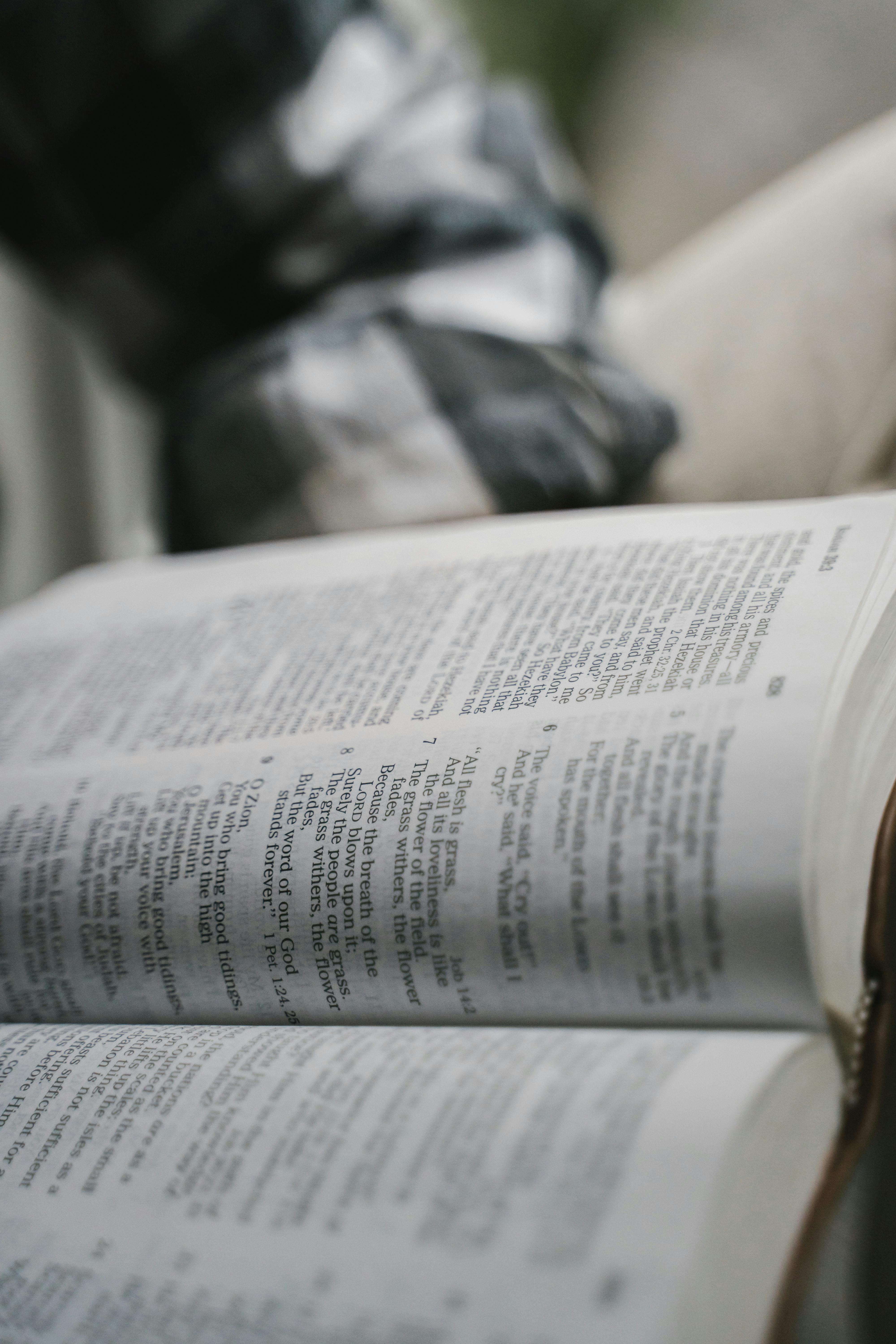 bible